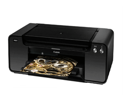 Canon PIXMA PRO-1Professional A3 photo printer